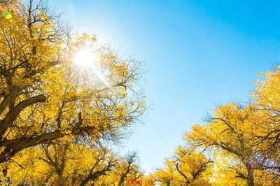 File in lụa File psd trần 3d TR341 (phong cảnh) File psd trần 3d TR341