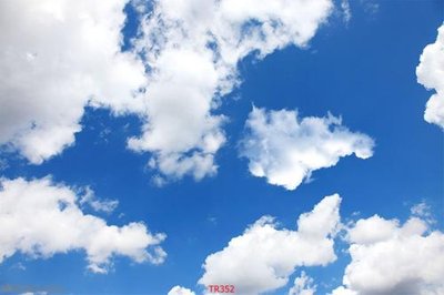 File gốc File psd trần 3d TR352 (dành cho trang trí nội thất)