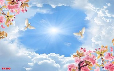 File in trần File psd trần 3d TR390 (bản gốc) 5D