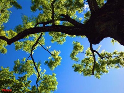 File in trần File psd trần 3d TR393 (file gốc) chủ đề vũ trụ