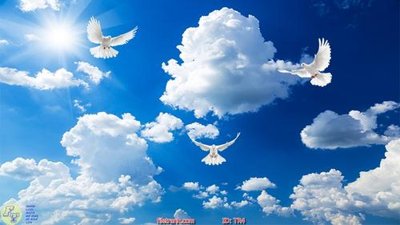 Download file gốc File psd trần 3d TR4 (in mica) 3D