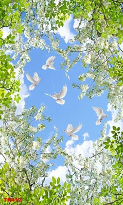 Tải file gốc File psd trần 3d TR412 (in tráng gương) 5DFile gốc File psd trần 3d TR412 (in ấn) phiên bản premium