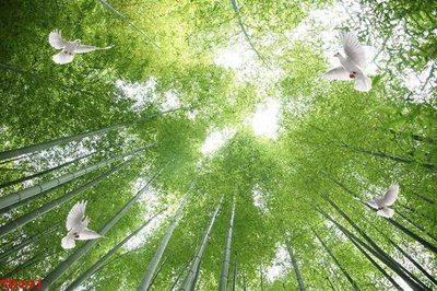 Tải file File tranh trần mây 3d TR441 (gốc) chủ đề tâm linh