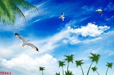 File in lụa File tranh trần mây 3d TR462 (tân cổ điển) File tranh trần mây 3d TR462