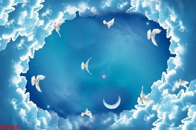 File in ấn chuyên nghiệp File tranh trần mây 3d TR490 (file gốc)