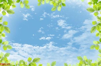 Tệp tin gốc File tranh trần mây 3d TR517 (dùng cho in) File tranh trần mây 3d TR517