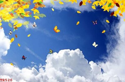 Tải file File tranh trần mây 3d TR520 (ảnh gốc) in tranh kính