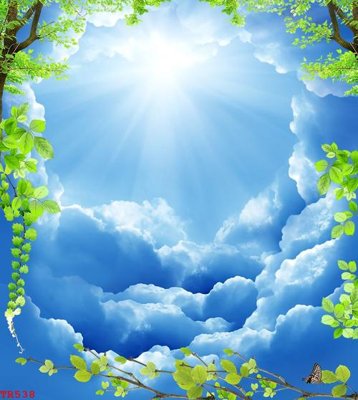 Ảnh gốc File tranh trần mây 3d TR538 (nét căng) in mica