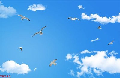 Tải file tranh gốc File tranh trần mây 3d TR543 chất lượng cao