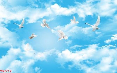 Tải file File tranh trần mây 3d TR572 (gốc) làm file in ấn