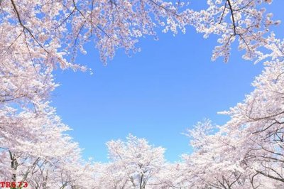 File gốc in tráng gương File tranh trần mây 3d TR573 chi tiết