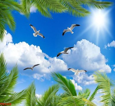 File gốc in ấn File tranh trần mây 3d TR588 (sẵn sàng tải về)