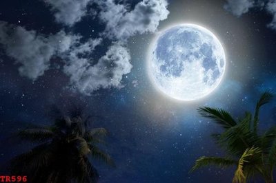 Tải file gốc File tranh trần mây 3d TR596 (bản PSD) còn layer