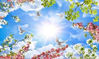 File gốc File tranh trần mây 3d TR598 (phong cách) tối giản