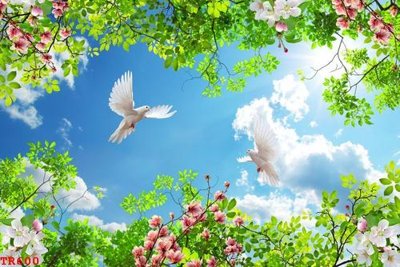 File tranh File tranh trần mây 3d TR600 (gốc) in film