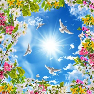 File tranh File tranh trần mây 3d TR601 (gốc) chủ đề thiên nhiên