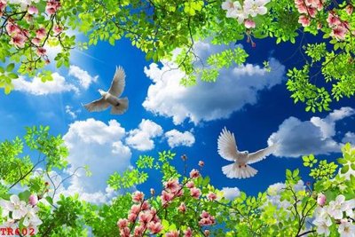 File PSD File tranh trần mây 3d TR602 (bản gốc) cho nhà in