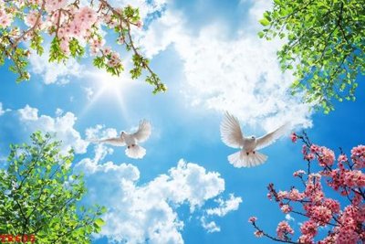 File gốc in ấn File tranh trần mây 3d TR605 (sẵn sàng tải về)