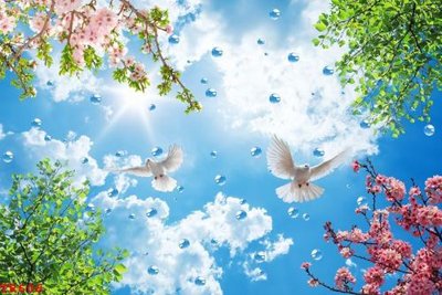 File tranh quảng cáo File tranh trần mây 3d TR606 (download file gốc)