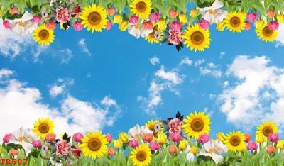 Tệp tin gốc File tranh trần mây 3d TR607 (dùng cho in) File tranh trần mây 3d TR607