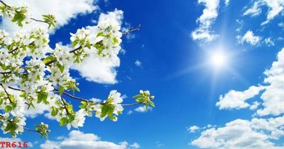 File gốc File tranh trần mây 3d TR616 (PNG) nền trong suốt