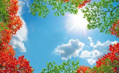 File gốc File tranh trần mây 3d TR621 (chủ đề hiện đại) trang trí