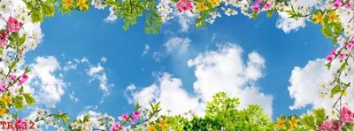 File tranh File tranh trần mây 3d TR632 (file gốc) chủ đề phong thủy