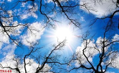 Tải file gốc File tranh trần mây 3d TR644 (in bạt) quảng cáo