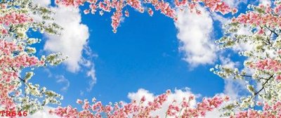 Tải file File tranh trần mây 3d TR646 (PSD) cho in tranh kính