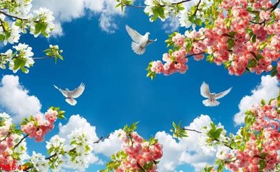 File gốc in ấn File tranh trần mây 3d TR647 chuẩn màu CMYK