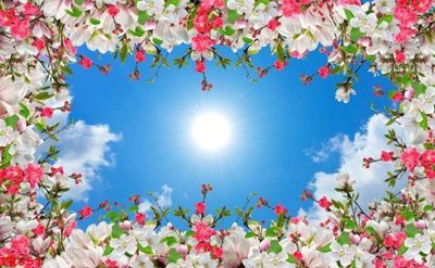 File PSD File tranh trần mây 3d TR651 (bản gốc) chất lượng nhất