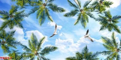 Tải file File tranh trần mây 3d TR657 (PSD) cho in tranh 3D