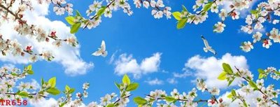 Tải về file gốc File tranh trần mây 3d TR658 (dùng cho in quảng cáo)