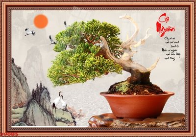 File tranh File tranh chậu mai bonsai 390BS (ảnh gốc) in trần xuyên sáng