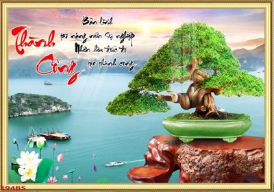 Tải về file tranh gốc File tranh chậu mai bonsai 394BS (để in quảng cáo)