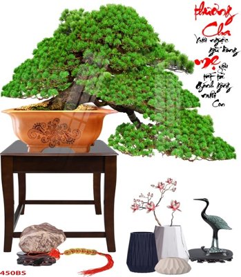 File gốc File tranh chậu mai bonsai 450BS (cho in UV) siêu nét