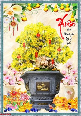 Tải file gốc File tranh chậu mai bonsai 494BS (in tráng gương) siêu đẹpFile tranh gốc File tranh chậu mai bonsai 494BS chất lượng cao