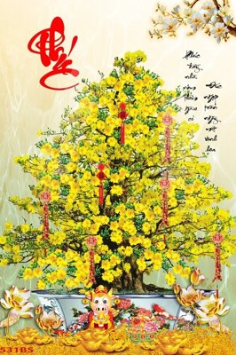 File in mica File tranh chậu mai bonsai 531BS (bản gốc) làm vách ngăn