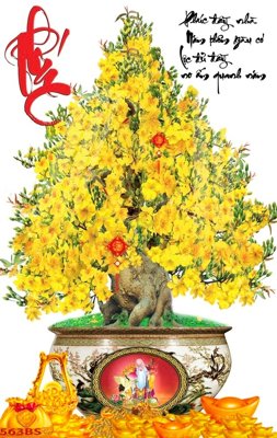 File in trần File tranh chậu mai bonsai 563BS (bản gốc) bầu trời