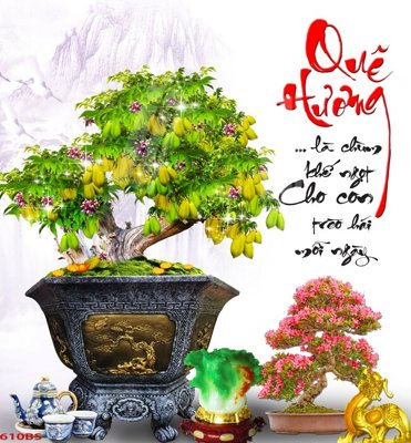 Tải file File tranh chậu mai bonsai 610BS (PSD) cho in ấn quảng cáo