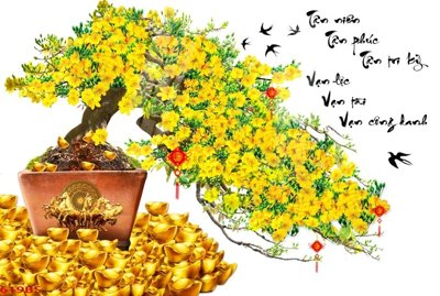 Tải file File tranh chậu mai bonsai 619BS (gốc) làm file quảng cáo