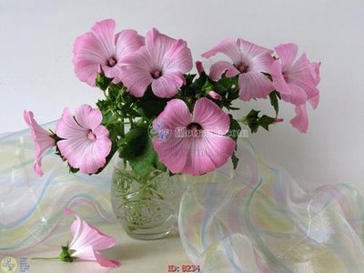 File gốc file gốc bình hoa B234 (trang trí) phòng ngủ