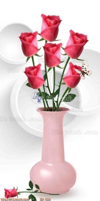 Chi tiết file gốc file gốc bình hoa B26 (cho in tráng gương)