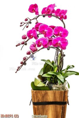 File tranh file gốc bình hoa B271 (gốc) chủ đề con người