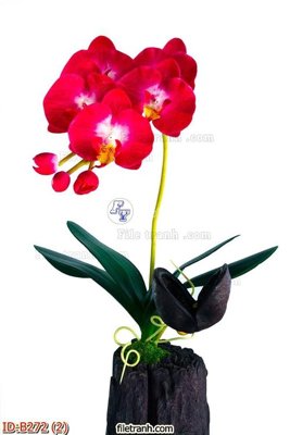 Ảnh gốc file in lụa file gốc bình hoa B272 chi tiết