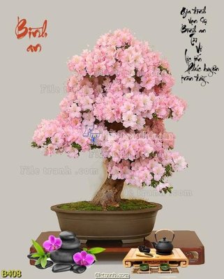 File in trần file gốc bình hoa B408 (bản gốc) phong cảnh