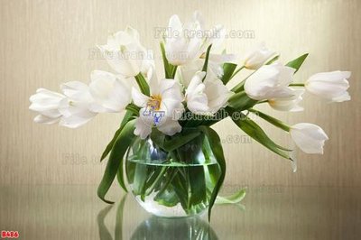 Download file File tranh bình hoa B486 (chất lượng in ấn)