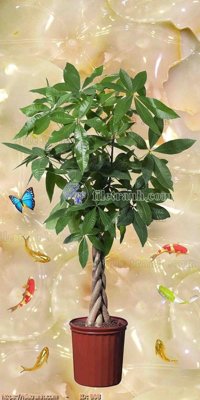 File in ấn chuyên nghiệp file gốc bình hoa B98 (file gốc)