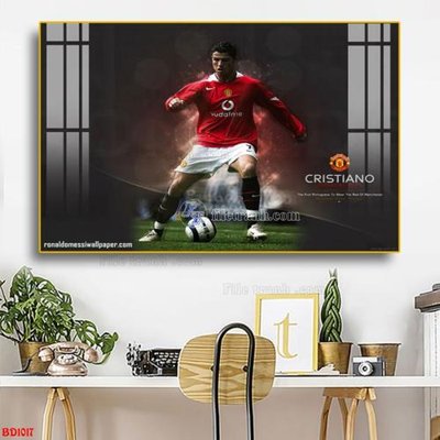 File in lụa File tranh treo bóng đá BD1017 (hoa văn) File tranh treo bóng đá BD1017