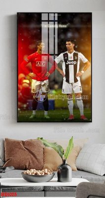 File gốc File tranh treo bóng đá BD1025 (in lụa) hoa văn cổ điển